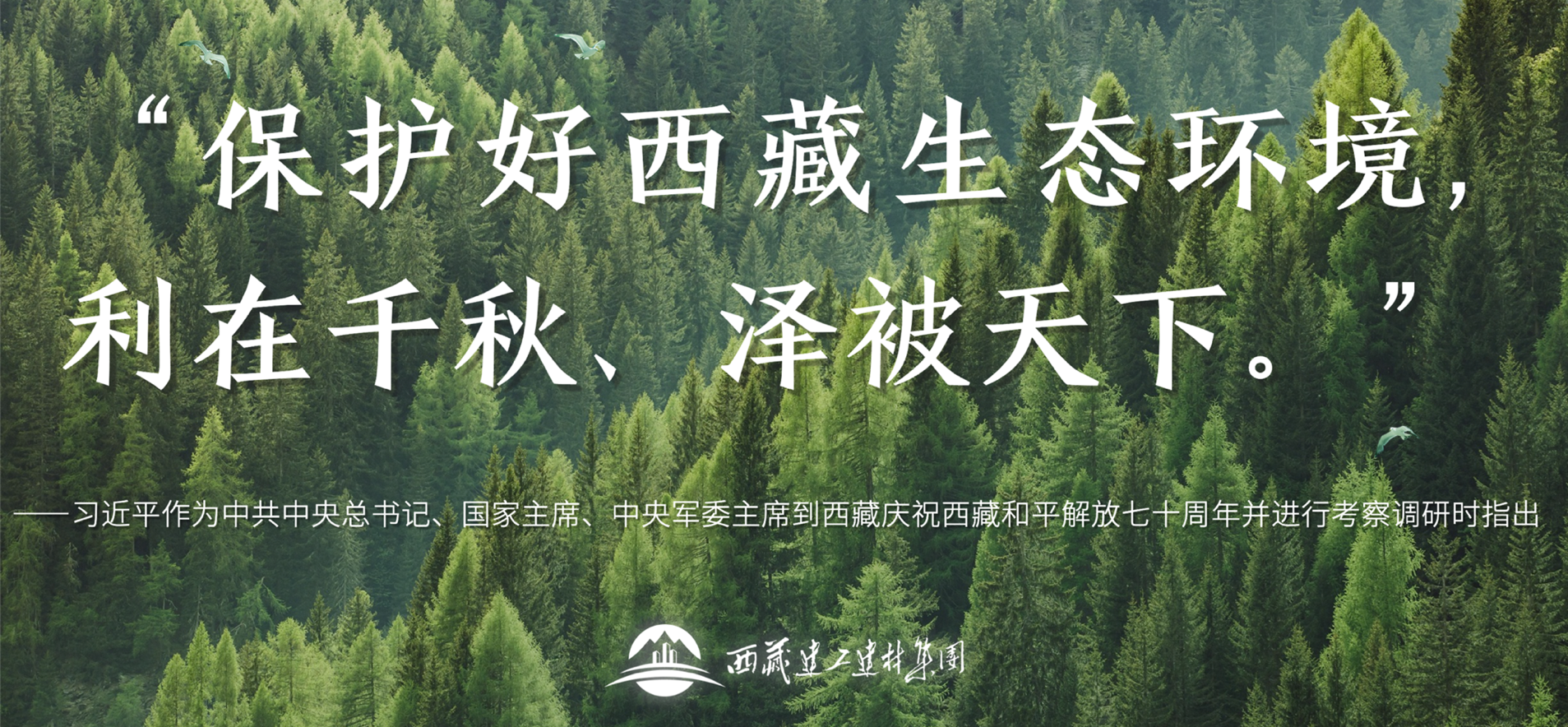 146380132661229630814242881 德信控股集团有限公司