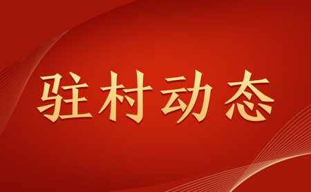 s-450-278-146383559093743931922118755